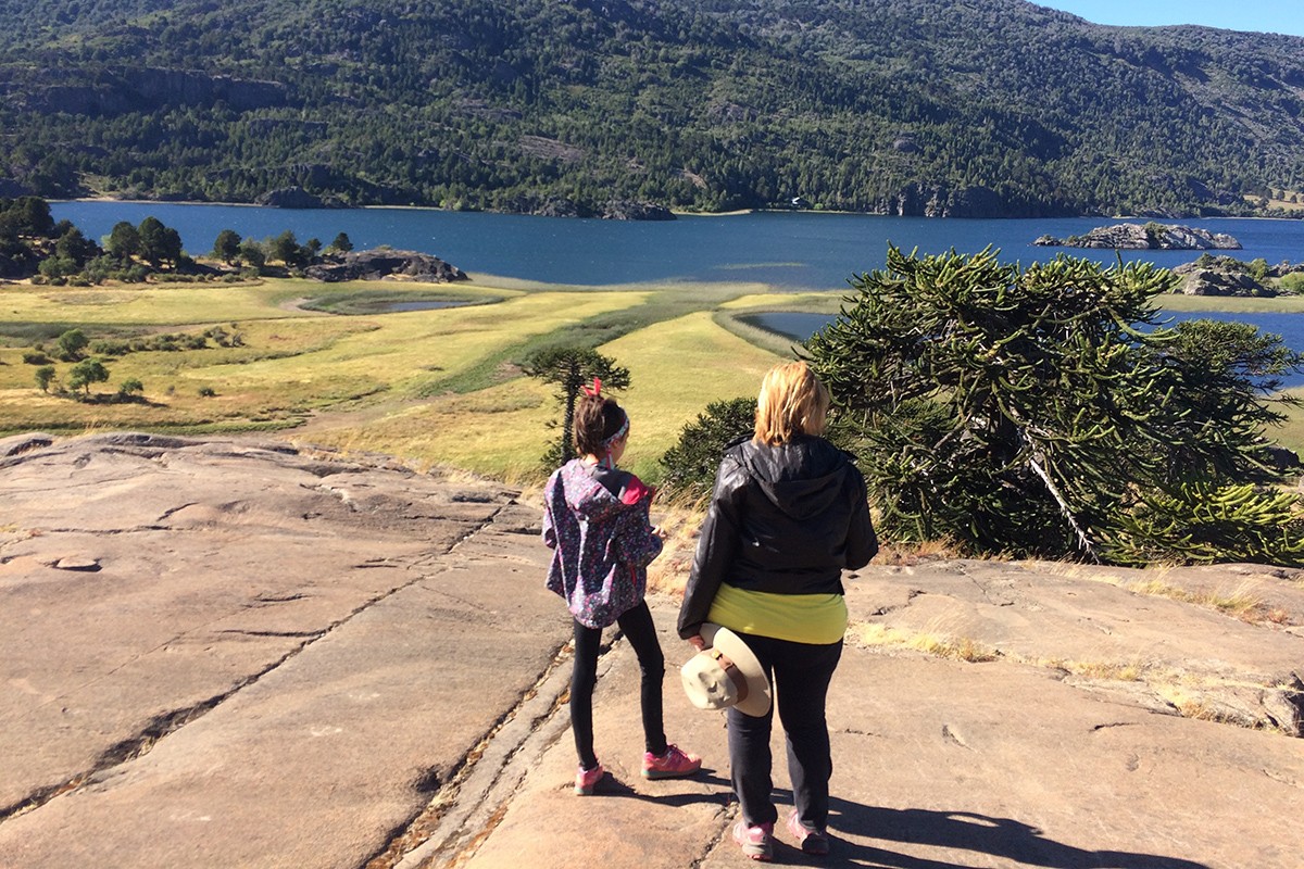Circuito Pehuenia
